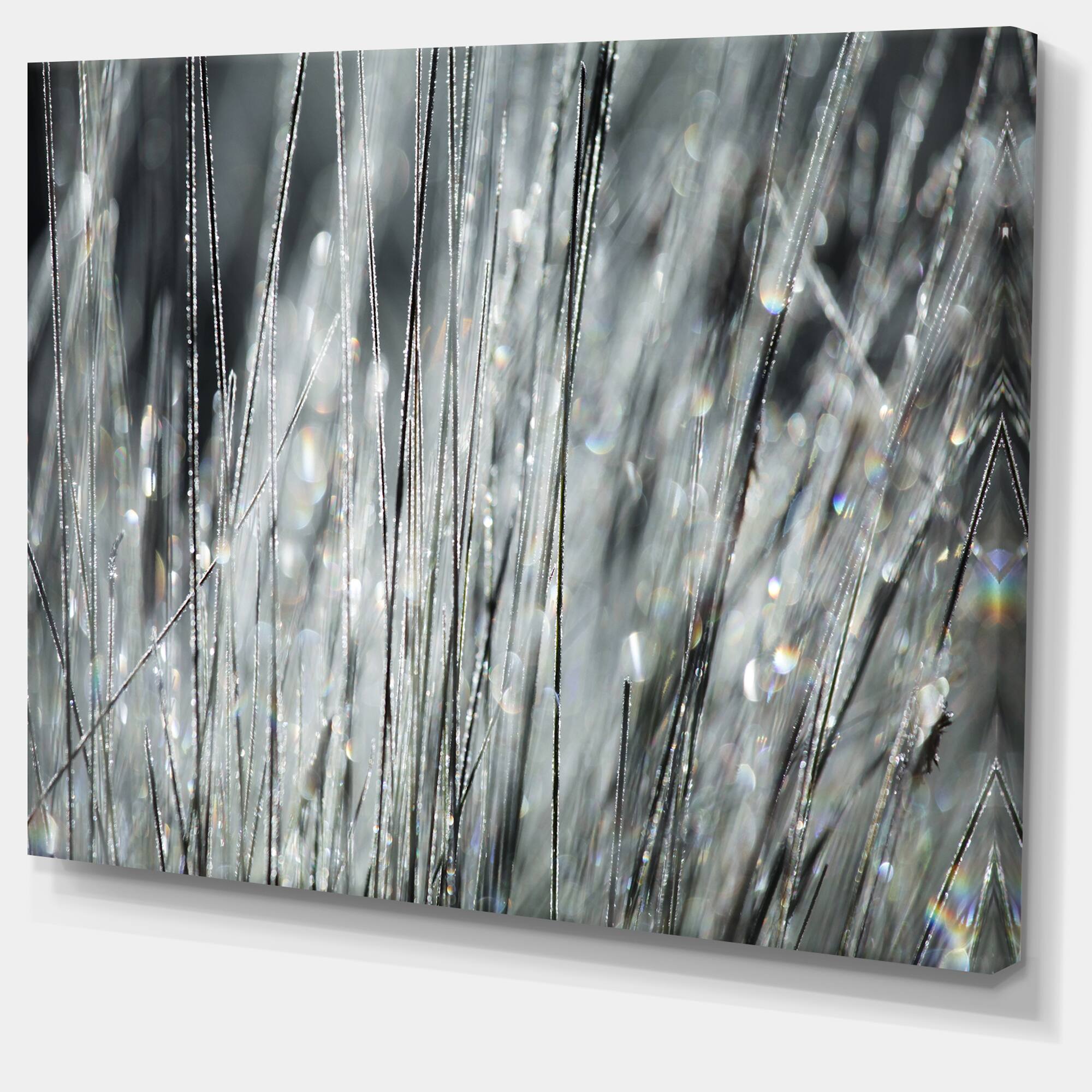 Designart - Raindrops on Grass Black White